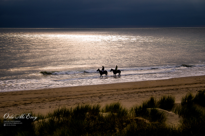 Canter at Dusk